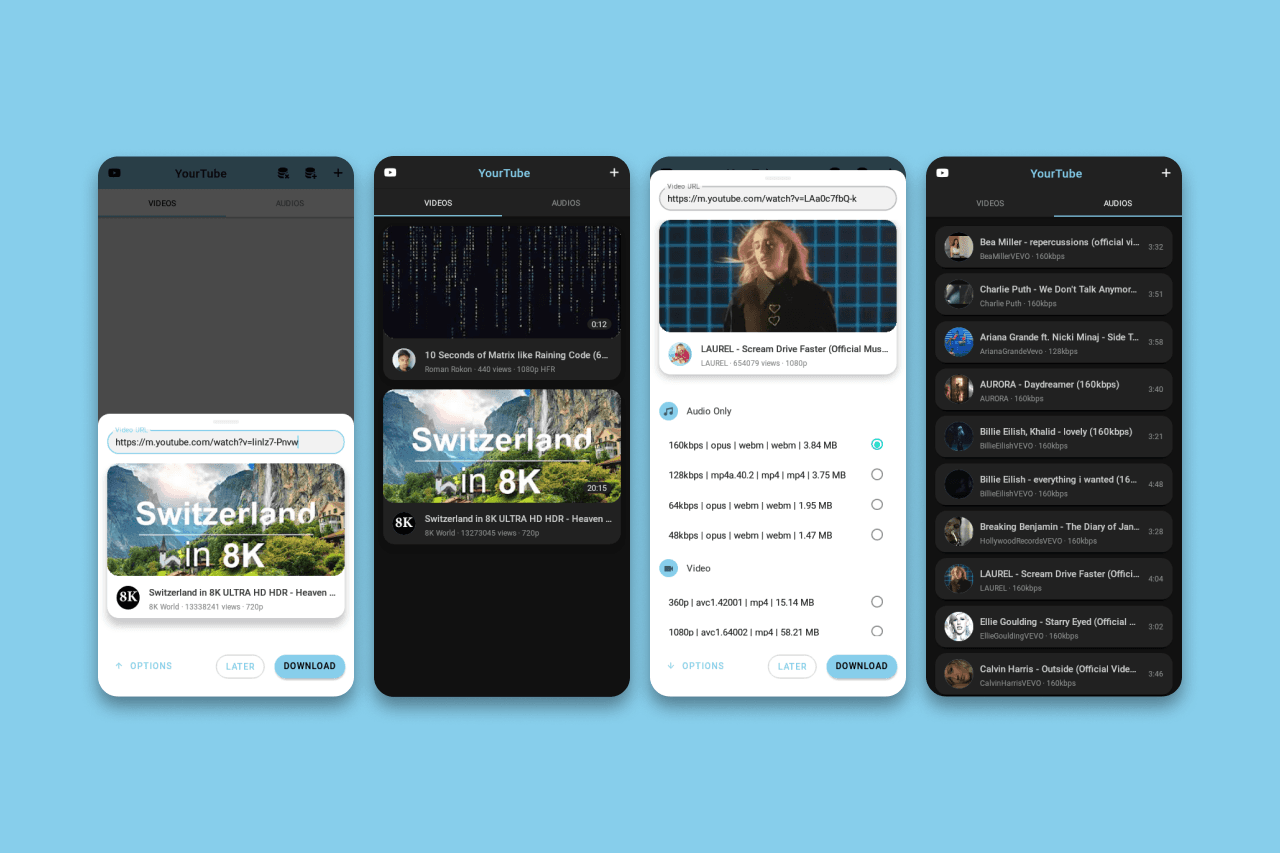 Media downloader and player