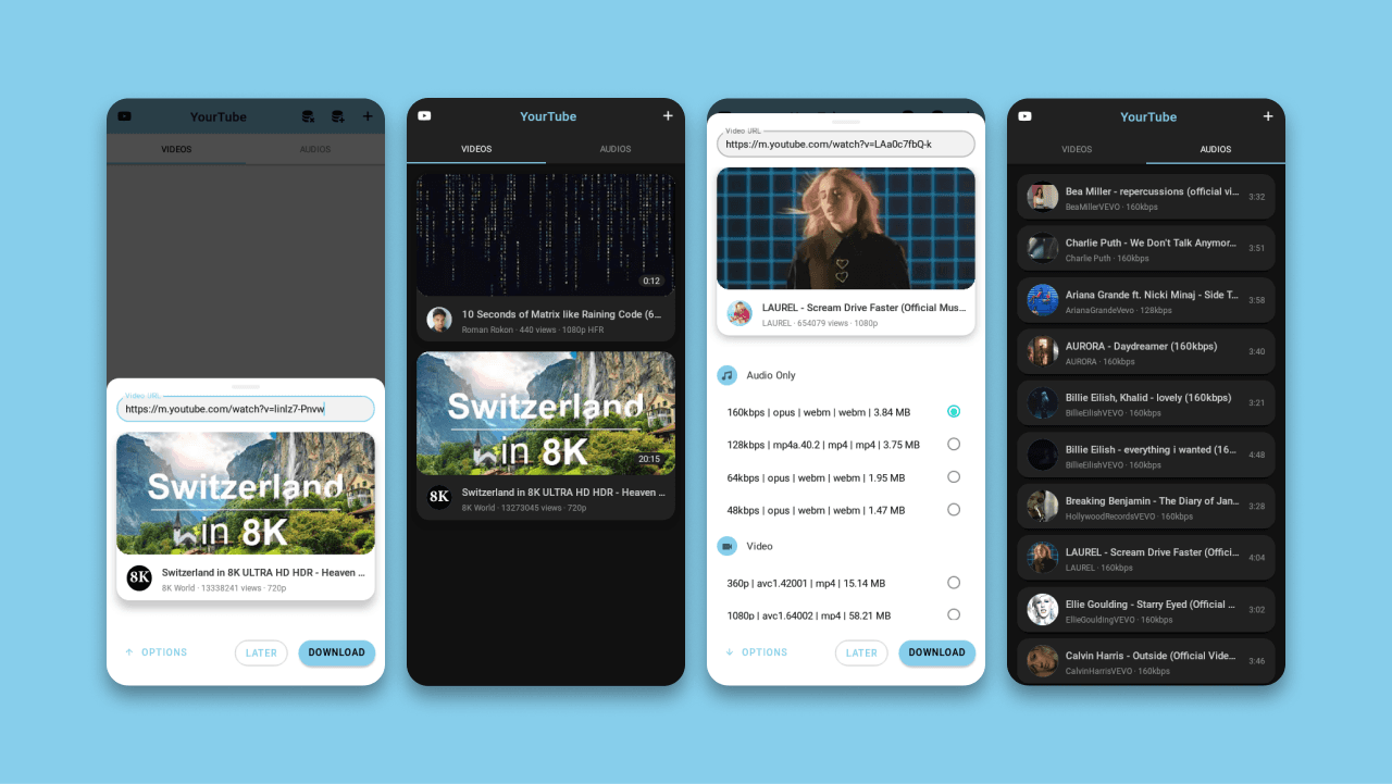 Media downloader and player